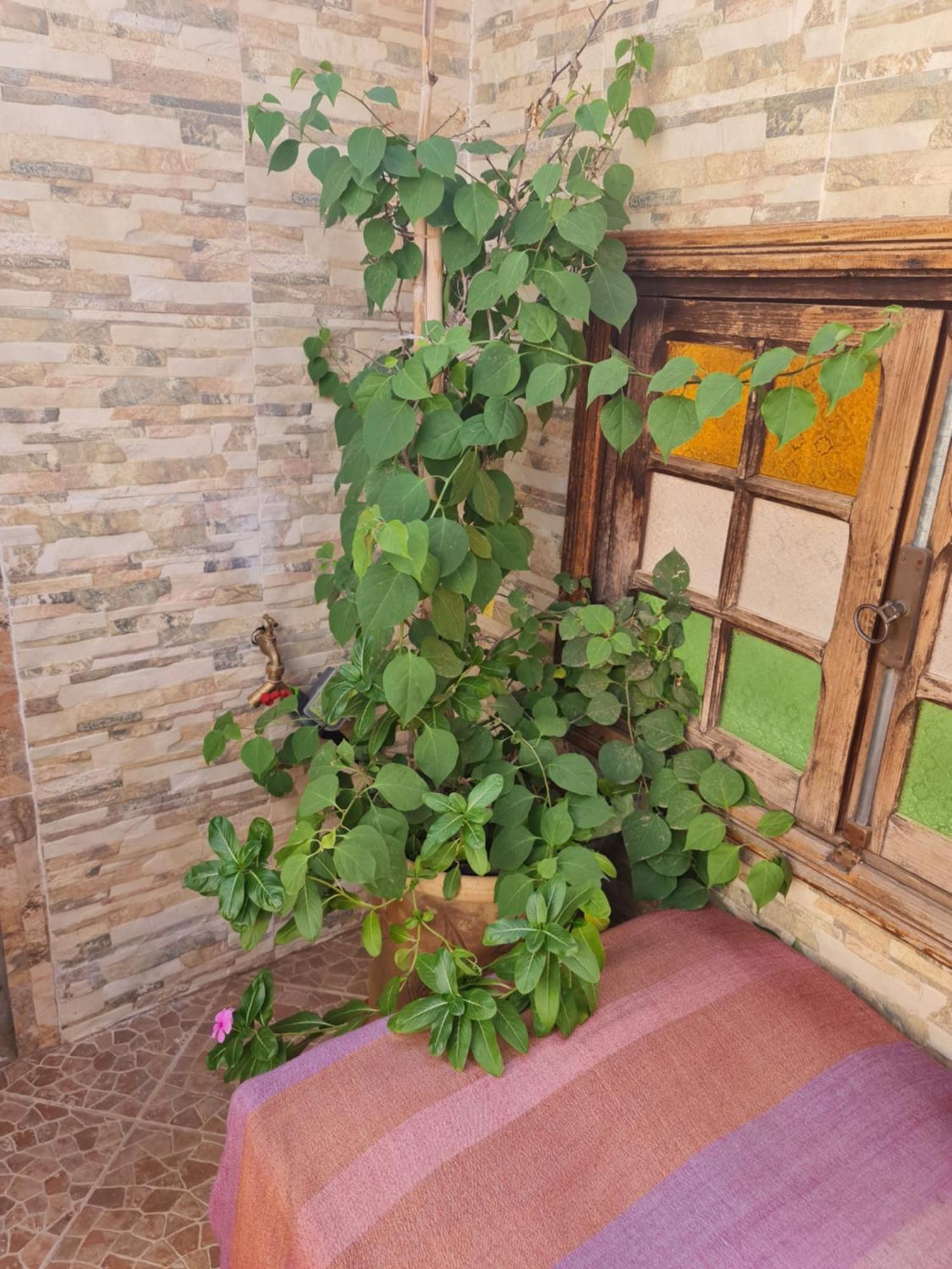 Riad Bab Almadina Marrakesh Exterior foto